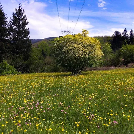 Lunigiana Sweet * Monzone
