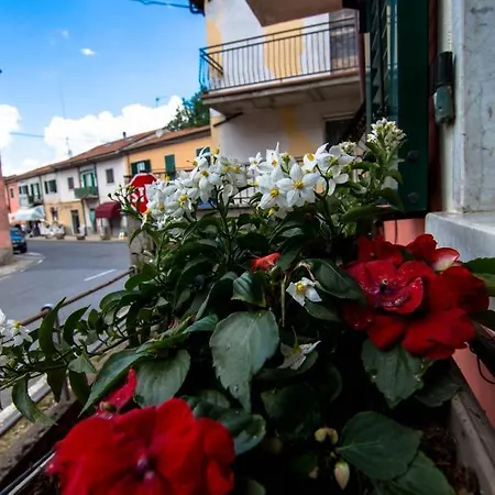 Lunigiana Sweet *