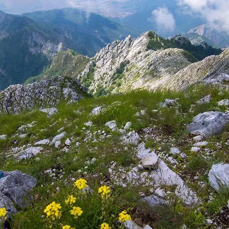 Lunigiana Sweet *